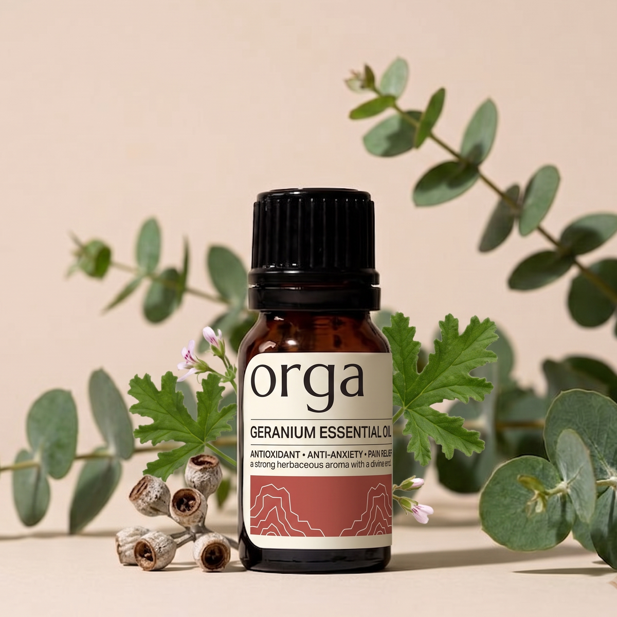 Geranium Essential Oil