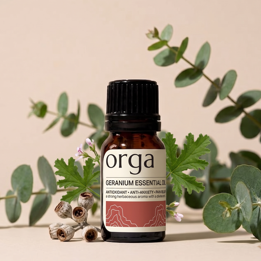 Geranium Essential Oil